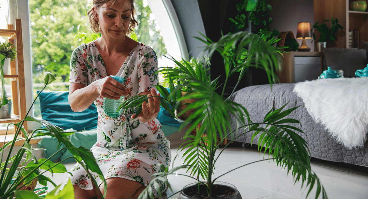 10 Best Air-Purifying Indoor Plants
